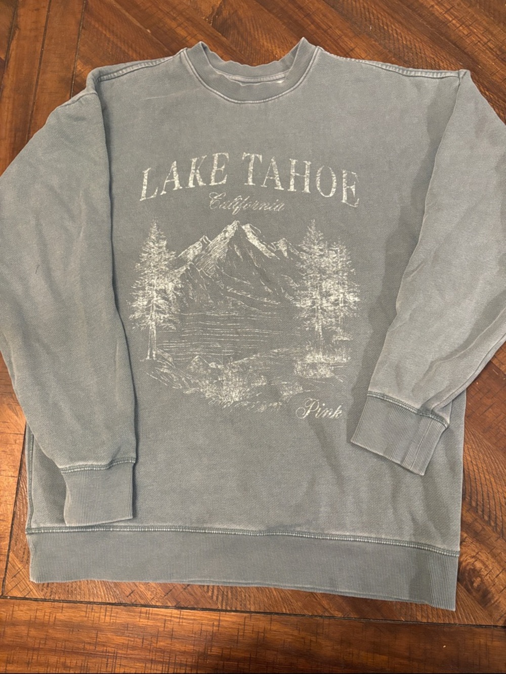 PINK Victoria's Secret sweatshirt